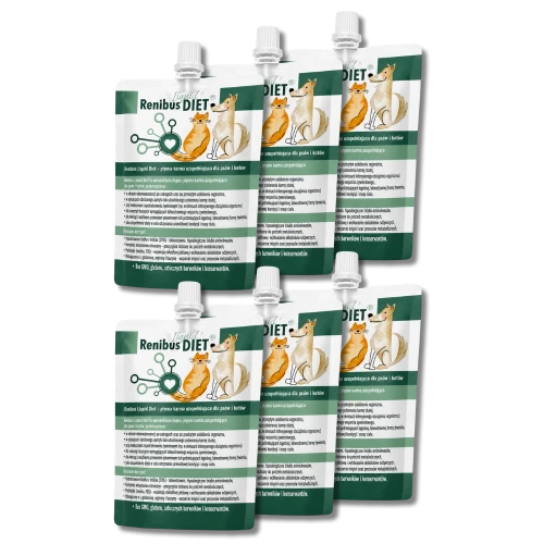 Renibus Liquid Diet 100ml x 6szt. - wsparcie żywieniowe dla rekonwalescentów