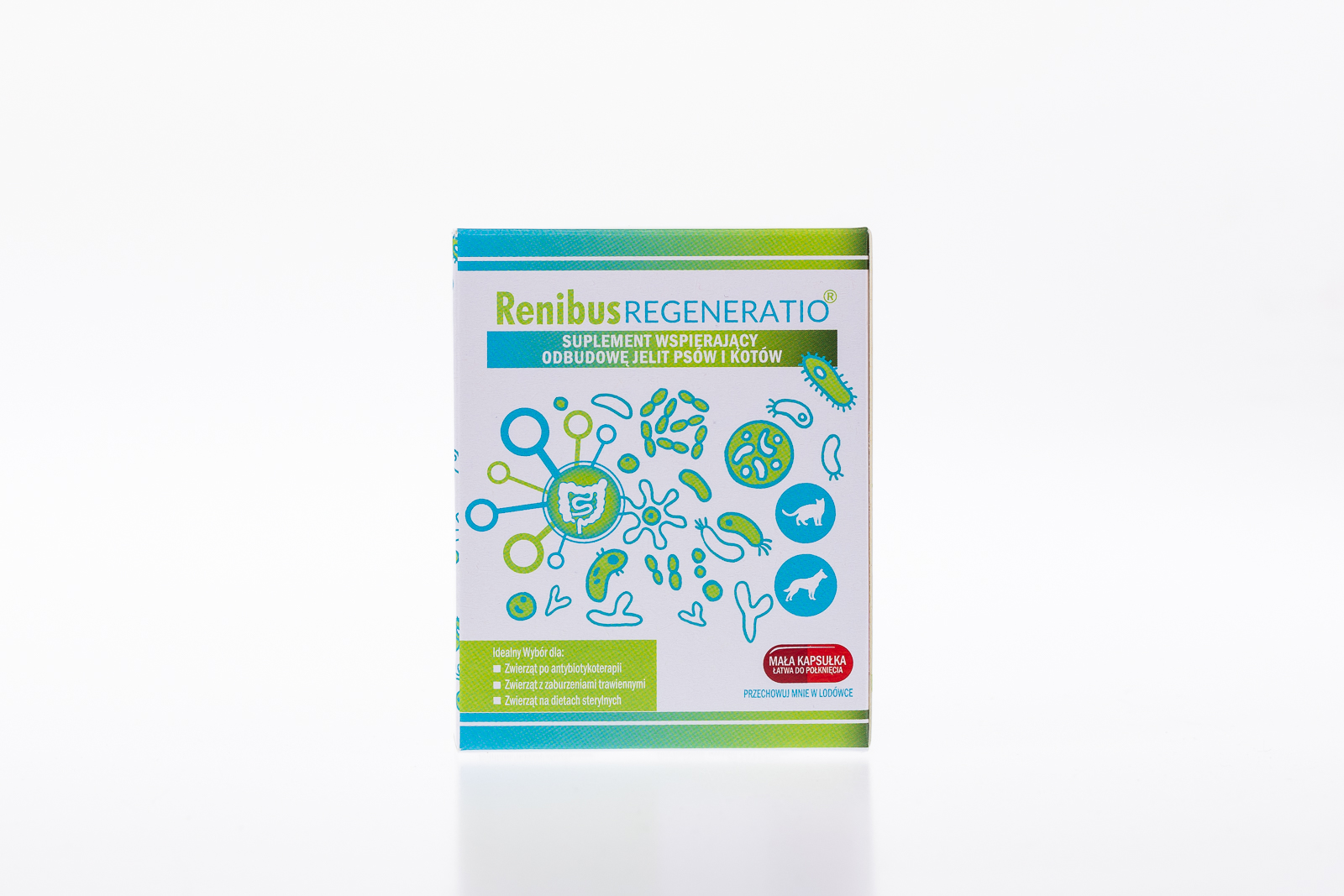 Renibus Regeneratio