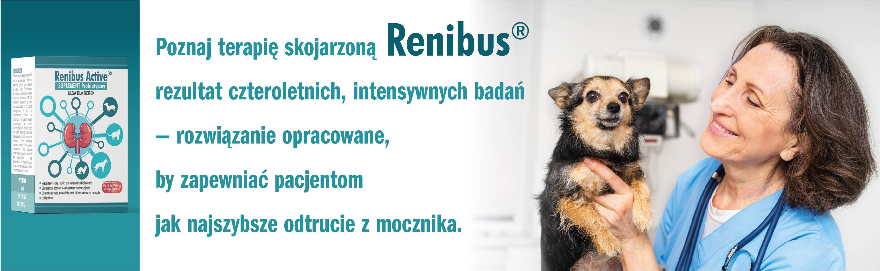 Slajd 1 Renibus Active